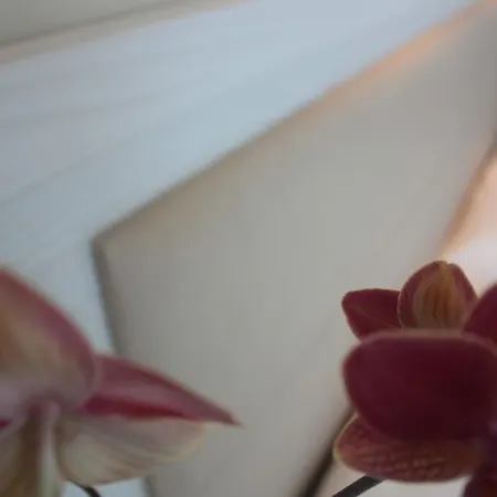 Augustus- Davanti A Noi C'e Solo Il Mare 3* Misano Adriatico