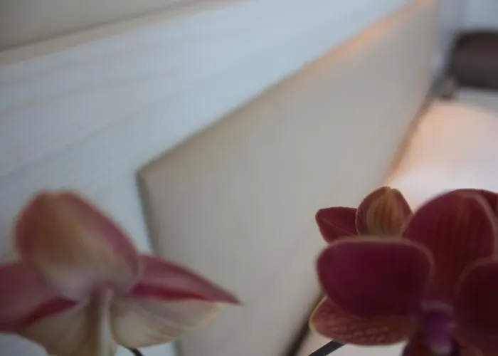 Augustus- Davanti A Noi C'e Solo Il Mare 3* Misano Adriatico